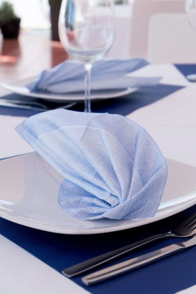 Cloth Napkins